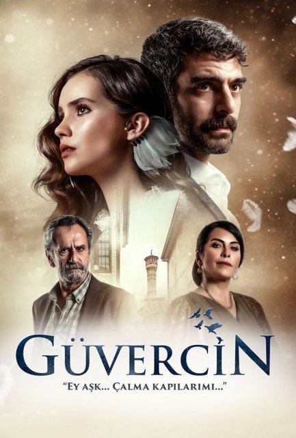მტრედი / mtredi / Guvercin