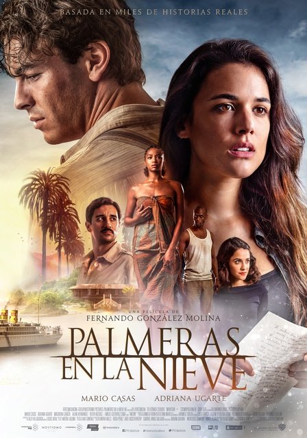 პალმები თოვლში / palmebi tovlshi / Palmeras en la nieve