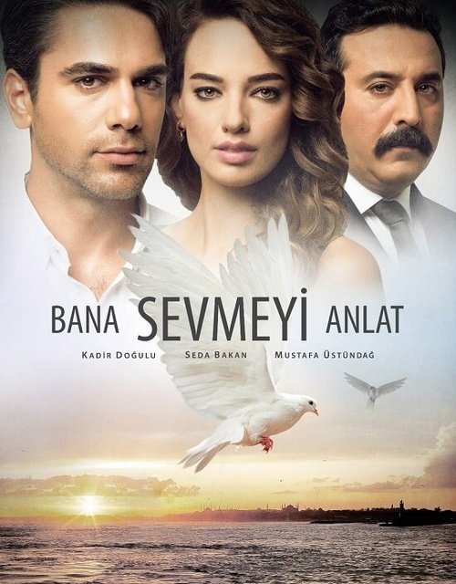 დასაწყისი / dasawyisi / Bana Sevmeyi Anlat