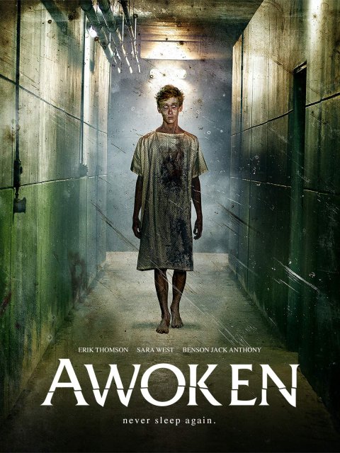 გამოღვიძებული / gamogvidzebuli / Awoken