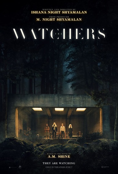 თვალთვალი | tvaltvali | The Watchers