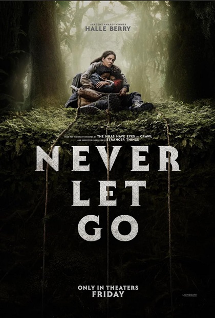 არასოდეს გაუშვა | arasodes gaushva | Never Let Go